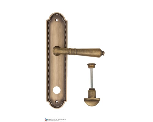 Дверная ручка на планке Fratelli Cattini TOSCANA WC-2 PL248-BY матовая бронза