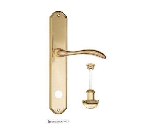 Дверная ручка на планке Fratelli Cattini LUCCIA WC-2 PL02-OLV полированная латунь Дверная ручка на планке Fratelli Cattini LUCCIA WC-2 PL02-OLV полированная латунь