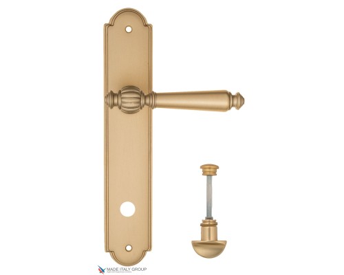 Дверная ручка на планке Fratelli Cattini MARANI WC-2 PL257-BS матовая латунь Дверная ручка на планке Fratelli Cattini MARANI WC-2 PL257-BS матовая латунь